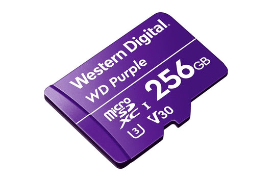 256GB Surveillance-grade microSD card (Compatible with Lorex Home Center Only)
